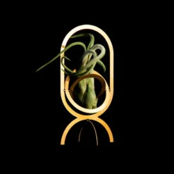 Fundamental Berlin Porte-plantes Air Trophy, Laiton -Intérieure Décoration Magasin AIR TROPHY black