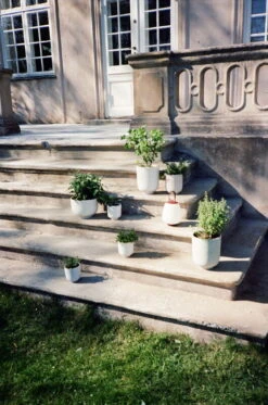 Intérieure Décoration Magasin -Intérieure Décoration Magasin ATD 2022 Outdoor Mero Collect Palnter SC69 SC72 Lucca SC51