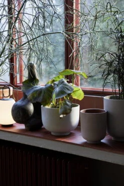 &Tradition Pot De Fleurs Collect SC71, 24 X 18 cm, Argenté 10 &Tradition Pot De Fleurs Collect SC71, 24 X 18 cm, Argenté -Intérieure Décoration Magasin ATD Retail 2021 Collect Planter SC70 72 Lucca SC51