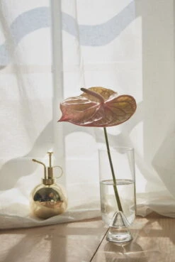 AYTM Brumisateur Pour Plantes Globe, Doré 11 AYTM Brumisateur Pour Plantes Globe, Doré -Intérieure Décoration Magasin AYTM D2 08 269