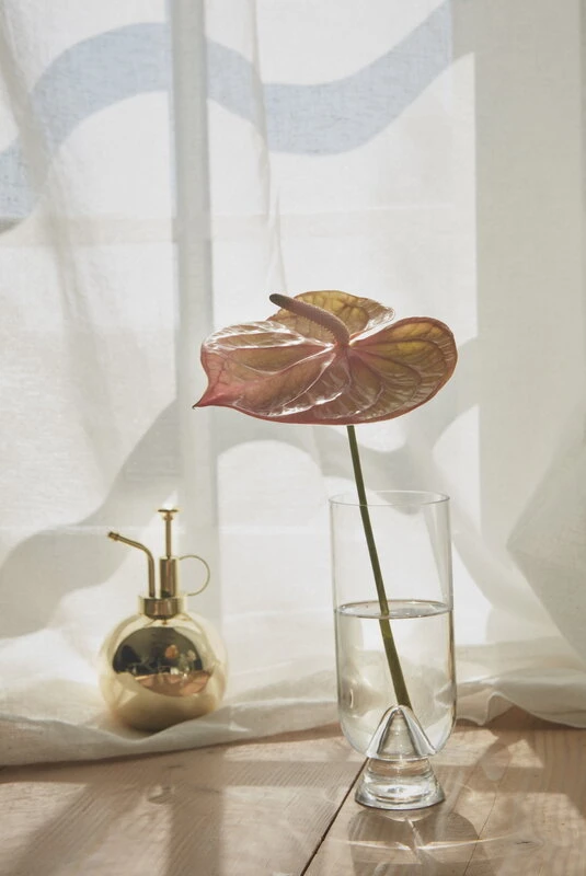 AYTM Brumisateur Pour Plantes Globe, Doré 6 AYTM Brumisateur Pour Plantes Globe, Doré – Image 4