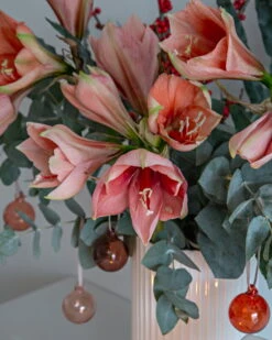 Iittala Coffret De 5 boules En Verre, 40 mm, Rouge -Intérieure Décoration Magasin Christmas Mood 13