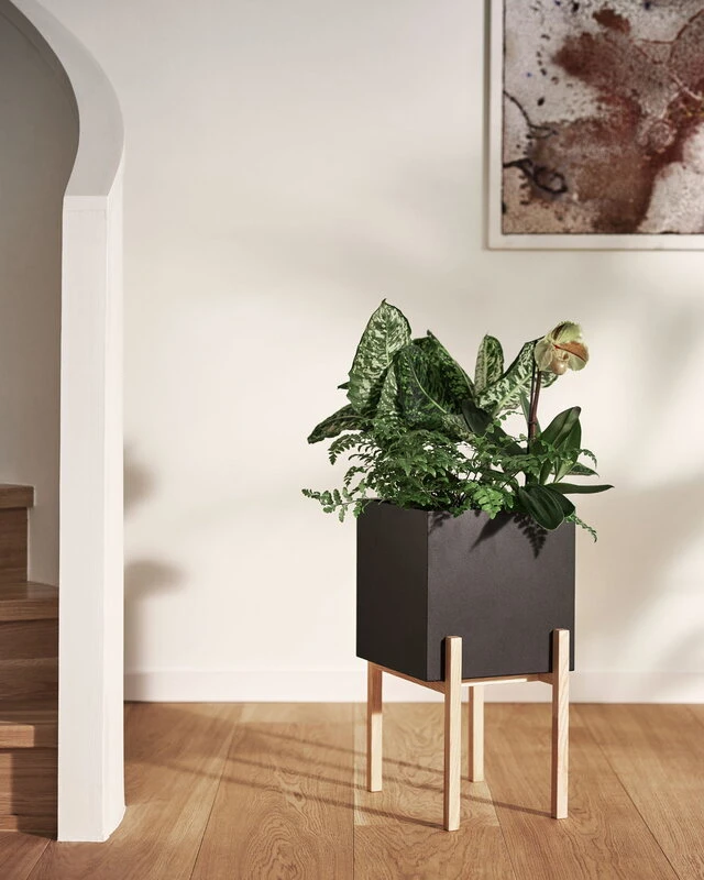 Design House Stockholm Pot Botanic Pedestal 7 Design House Stockholm Pot Botanic Pedestal – Image 5