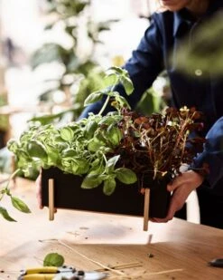 Design House Stockholm Jardinière Botanic -Intérieure Décoration Magasin DHS lifestyleimage 5