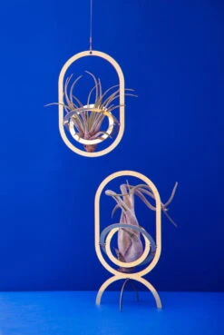 Fundamental Berlin Porte-plantes Air Trophy, Laiton -Intérieure Décoration Magasin FUAIR TRO blue