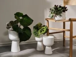 Iittala 2 bulles D’arrosage Iittala -Intérieure Décoration Magasin Iittala 2021 Nappula 05