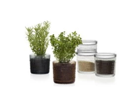 Iittala Pot Kastehelmi 116 X 114 mm, Transparent -Intérieure Décoration Magasin Kastehelmijargreydesertcleargroup 2