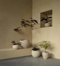 MENU Jardinière Plantas, 32 cm, Ivoire -Intérieure Décoration Magasin MENU Plantas Planter 15 2023