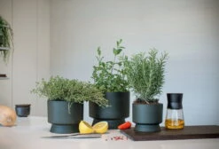 Rosendahl Pot De Fleurs, 12 cm, Vert -Intérieure Décoration Magasin ROS 20620 20622 RO Flowerpots in kitchen setting 02 300dpi