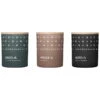 Skandinavisk Bougies Parfumées, Lot De 3 pièces, HIBERNATE -Intérieure Décoration Magasin SV22005 hibernate 3set skandinavisk 1
