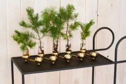 Klong Bougeoir Pour Bougie Chauffe-plat Constella, Laiton -Intérieure Décoration Magasin julius constella inspiration noresize